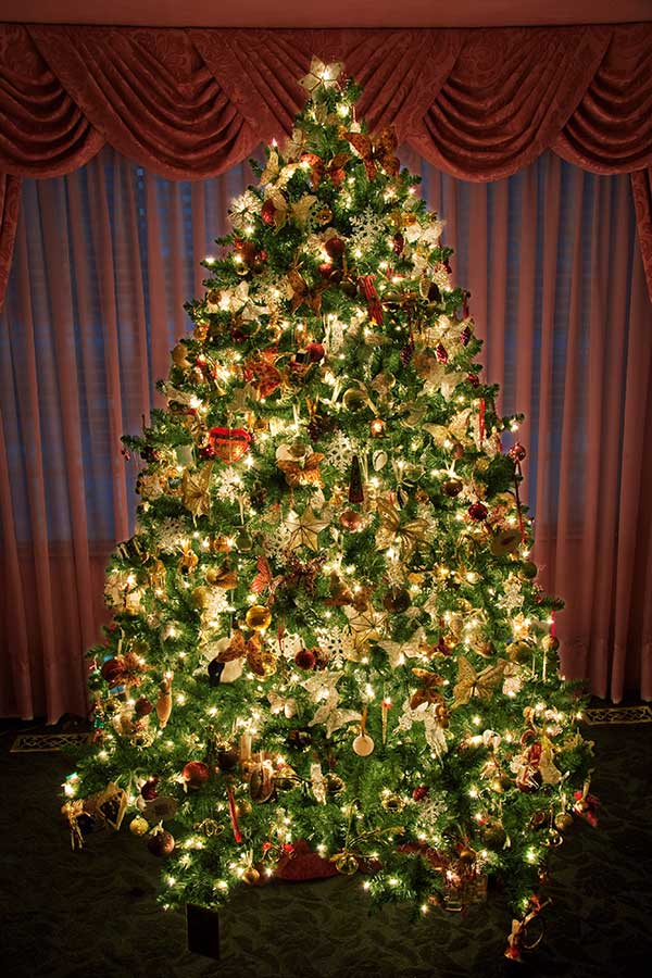 decorated-christmas-tree_