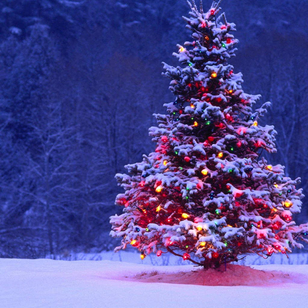 Decorated-Christmas-Tree-ipad-wallpaper