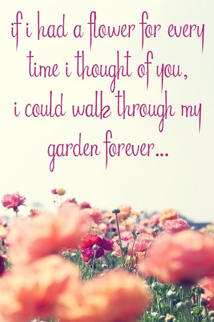 love-quotes-garden.