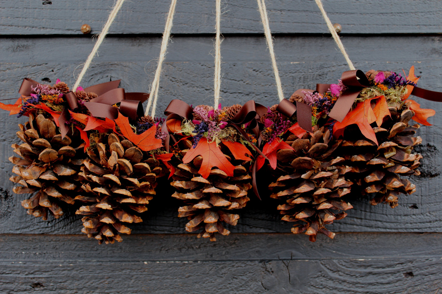 pinecones decorations ...4