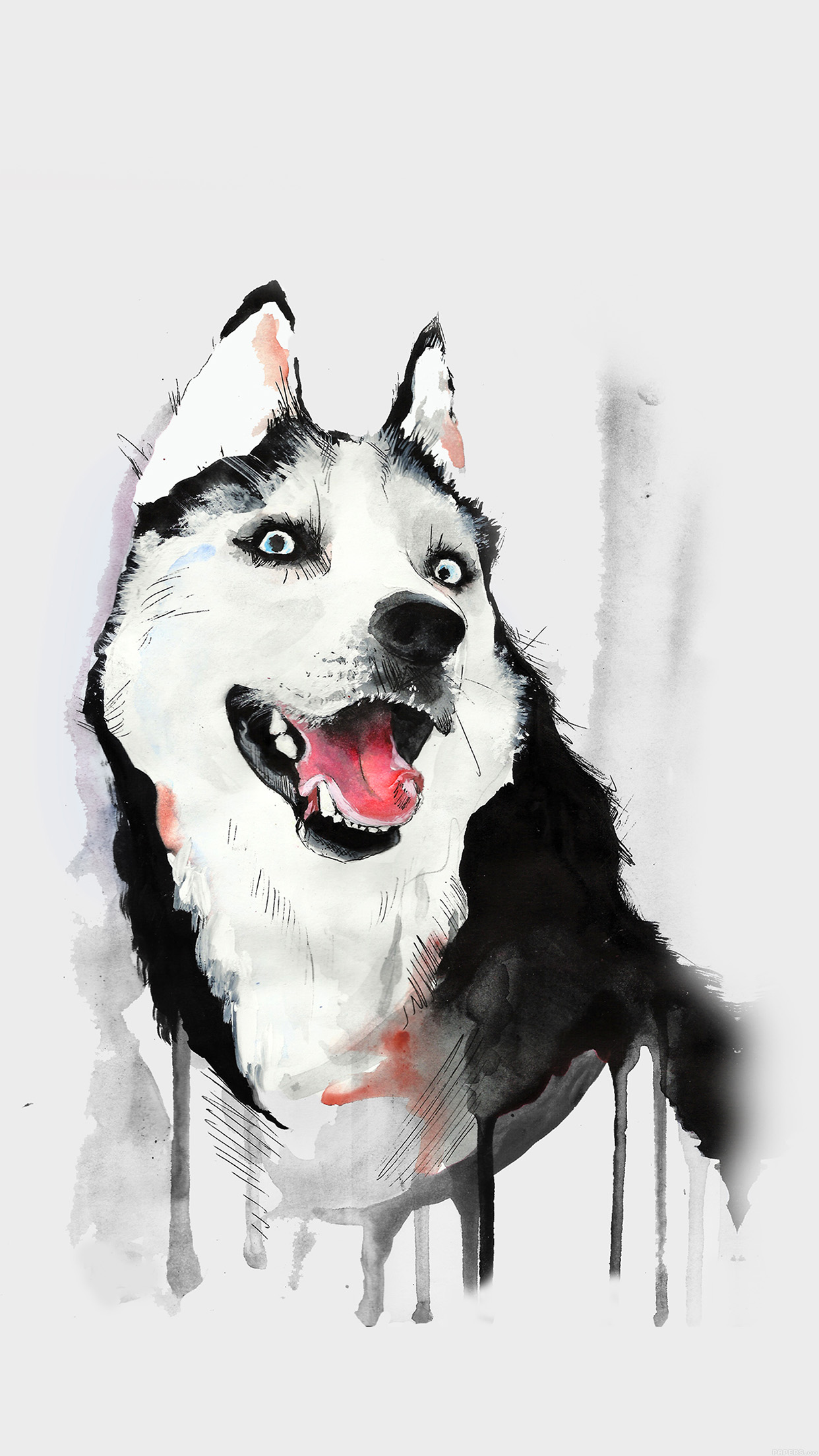 Husky-Dog-Watercolor-Illustration-iPhone-6-Plus-HD-Wallpaper