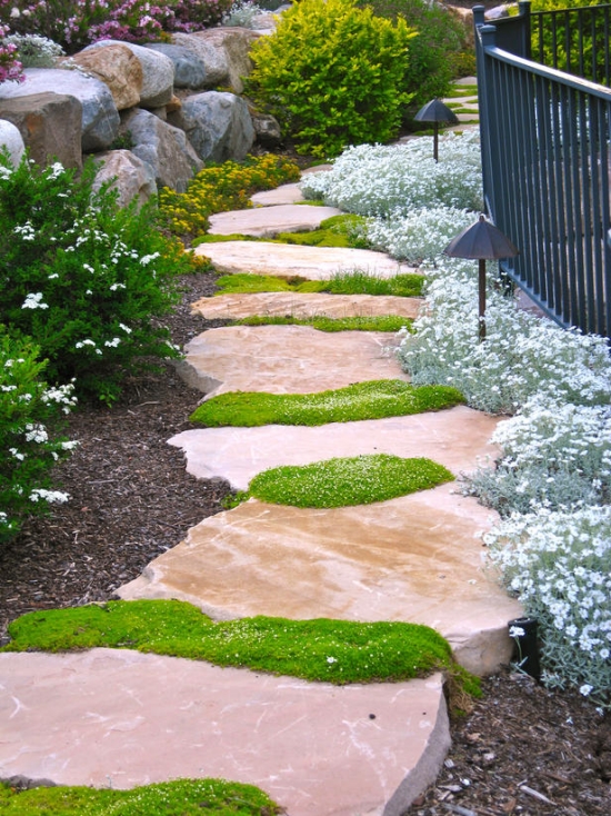 Rock-Garden-Stepping-Stone-path-Ideas