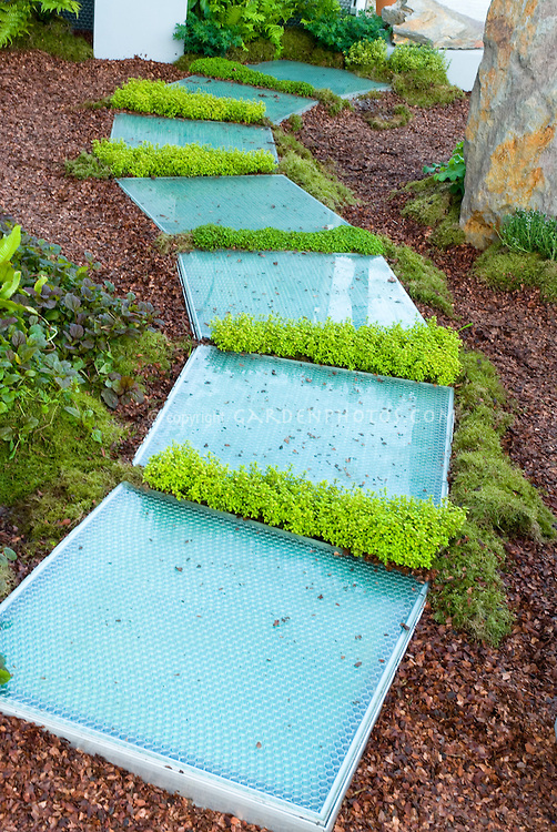 Modern garden walkway path with crevice plantings of fragrant thymes thymus, mulched backyard