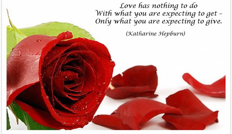 34 AMAZING RED ROSE LOVE QUOTES.... - Godfather Style