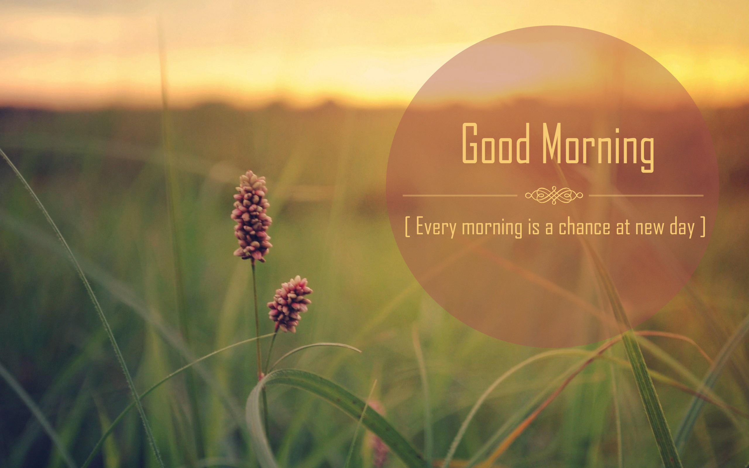 good-morning-quotes-Beautiful-Good-Morning-Quotes