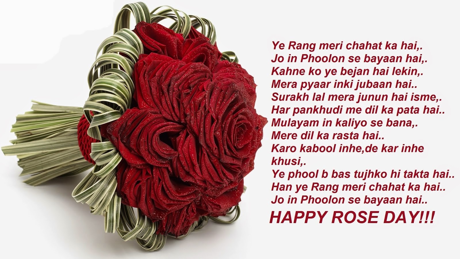 images whishes facebook cover greetings card special best romantic happy Rose day sms hindi
