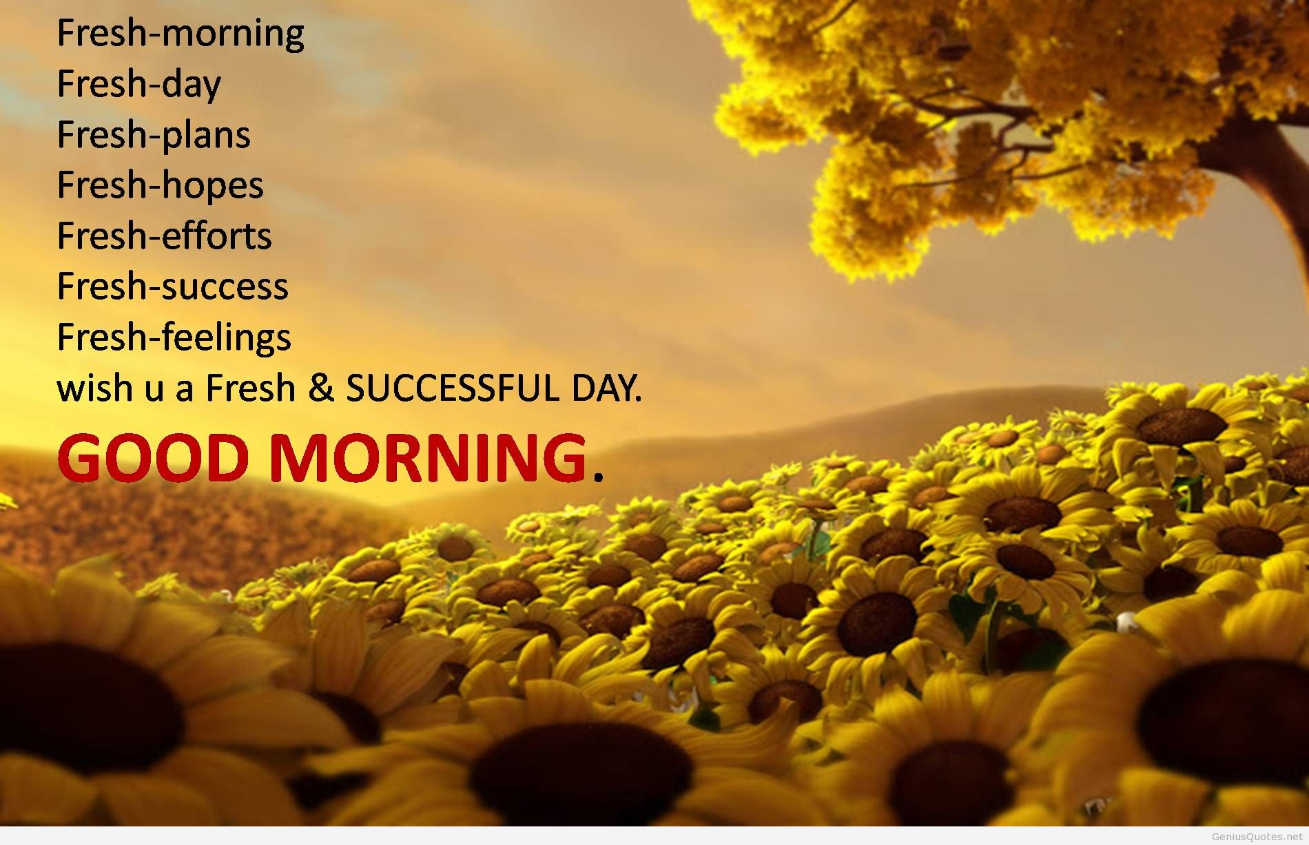 new-quotes-hd-good-morning-with-flowers-free