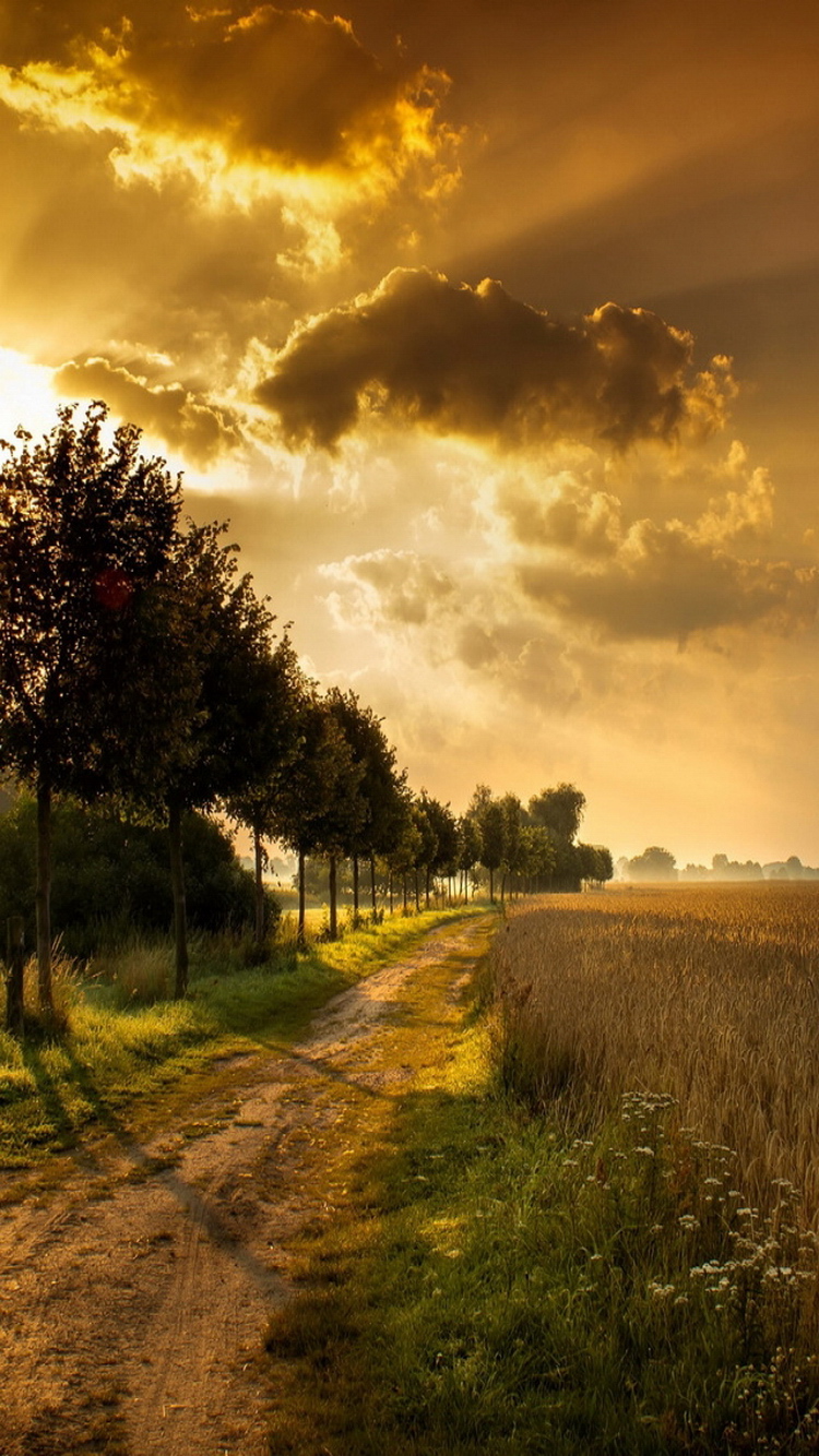 Autumn-Landscape-Dirt-Road-Trees-iPhone-6-Wallpaper.
