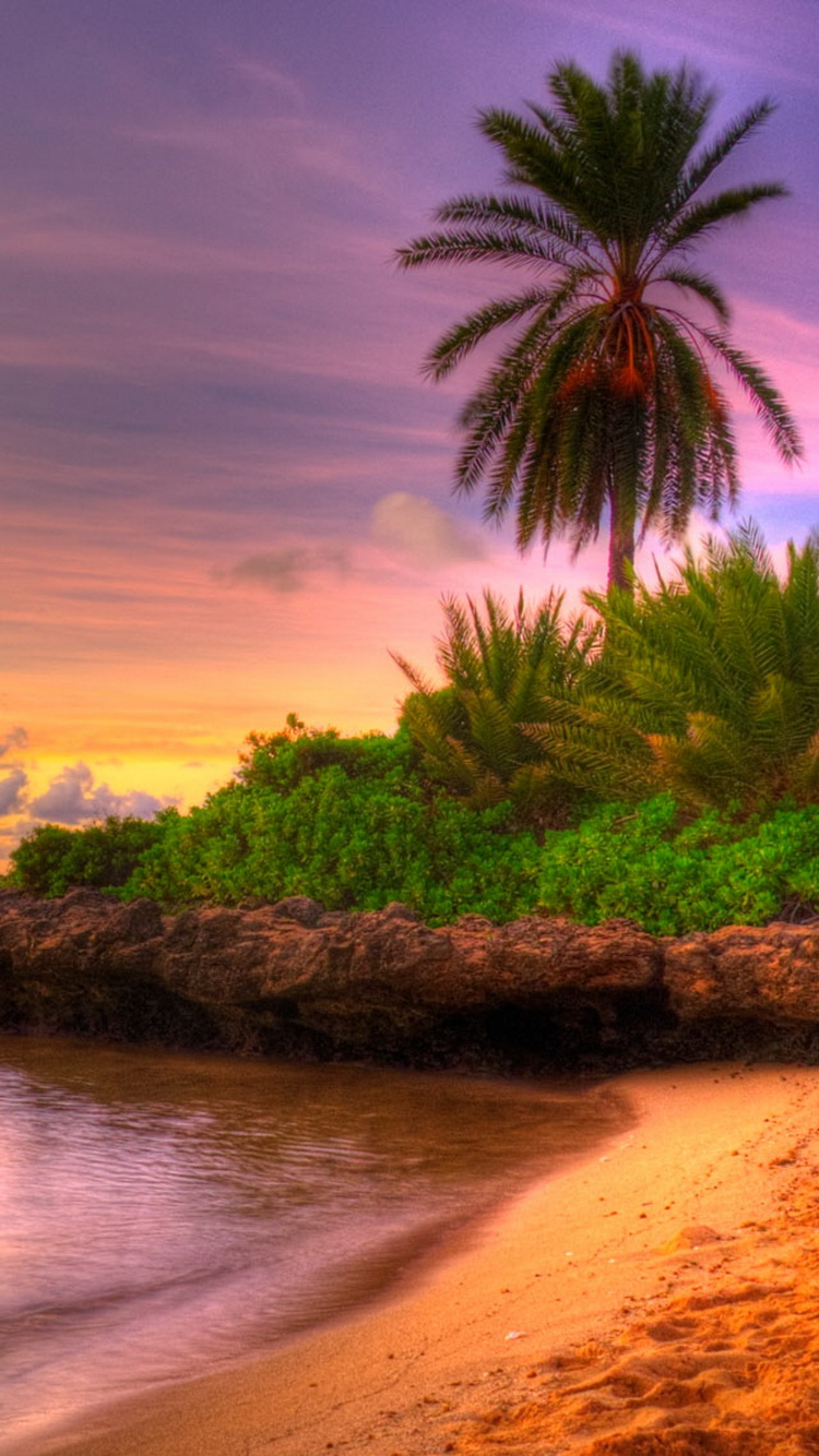 Beach-Sunset-Tropical-Island-iPhone-6-Wallpaper.