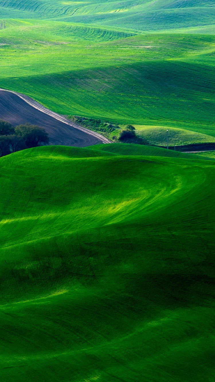 Dreamy-Green-Fields-Countryside-iPhone-6-Wallpa