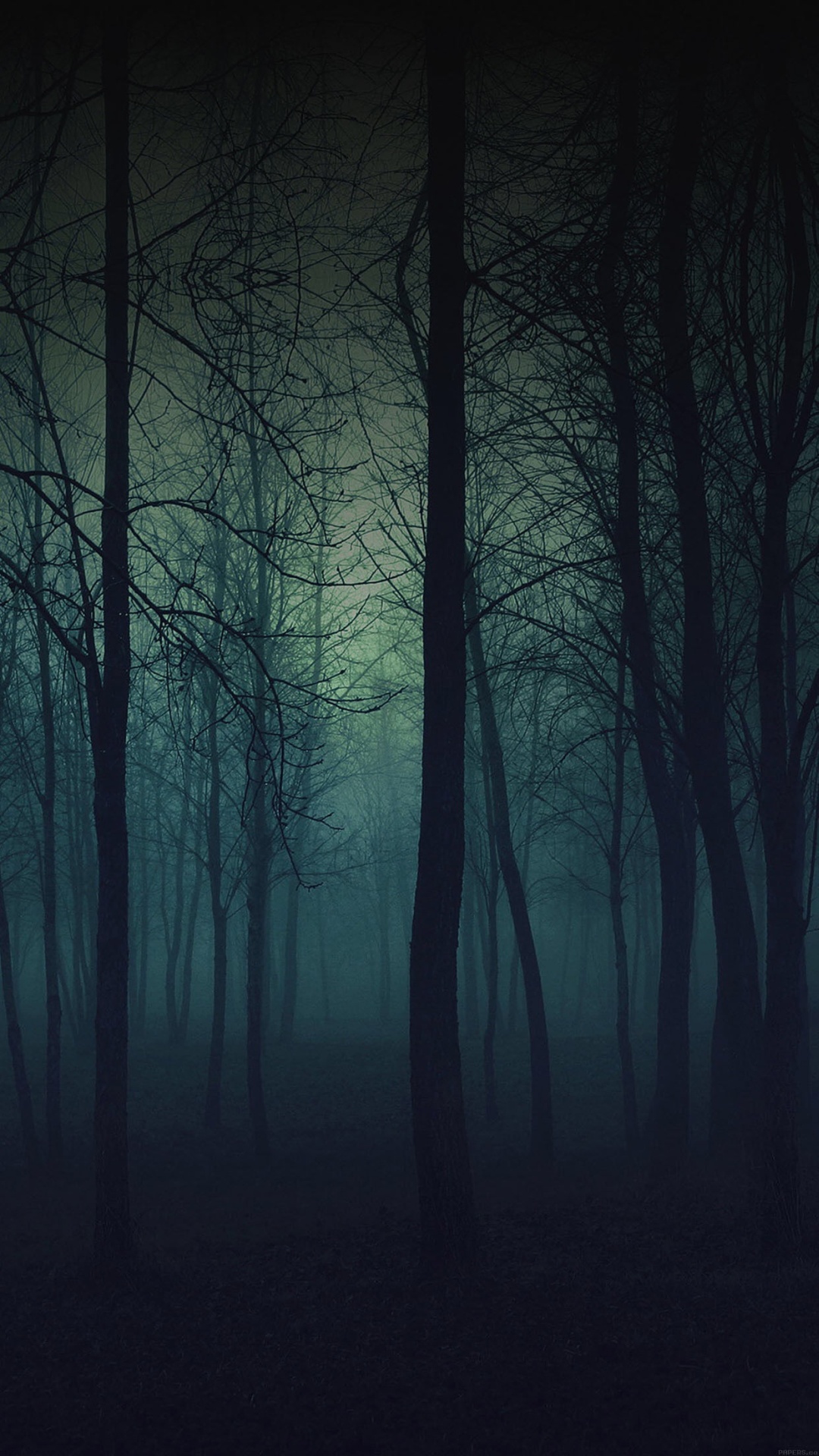 Eerie-Forest-Night-iPhone-6-Plus-HD-Wallpaper
