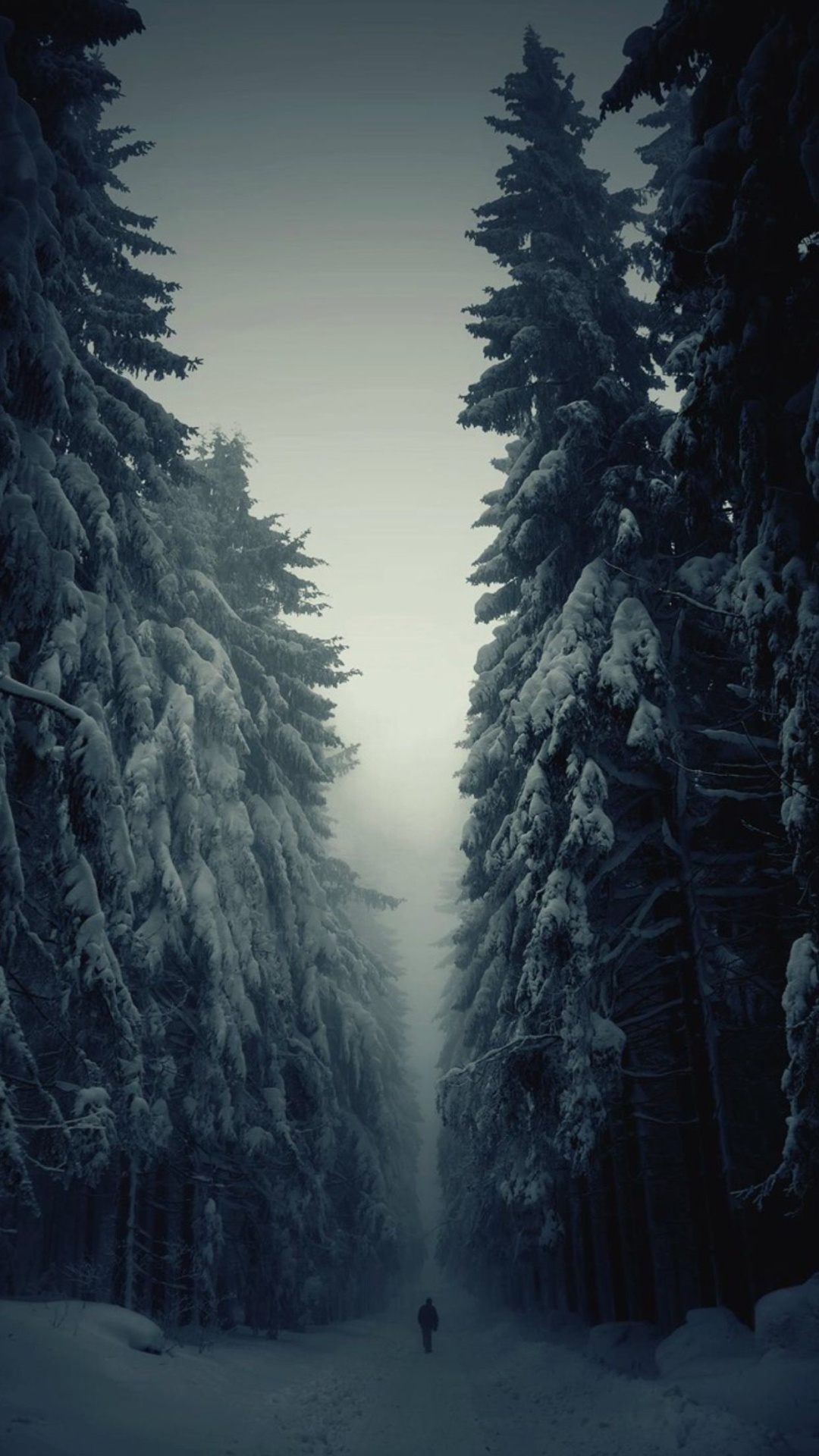 Snow-Forest-Lonely-Walk-iPhone-6-Plus-HD-Wallpaper.