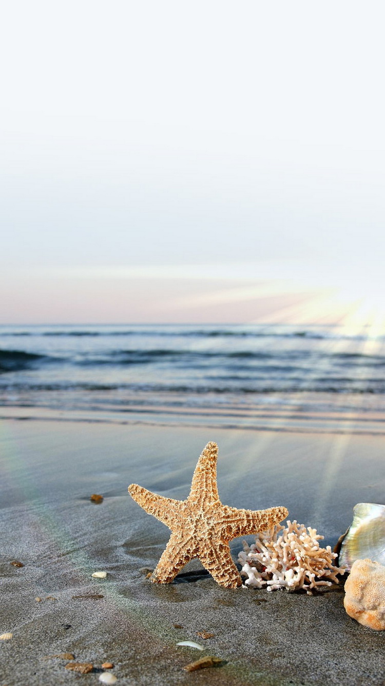 Starfish-Sun-Waves-Beach-iPhone-6-Wallpaper.