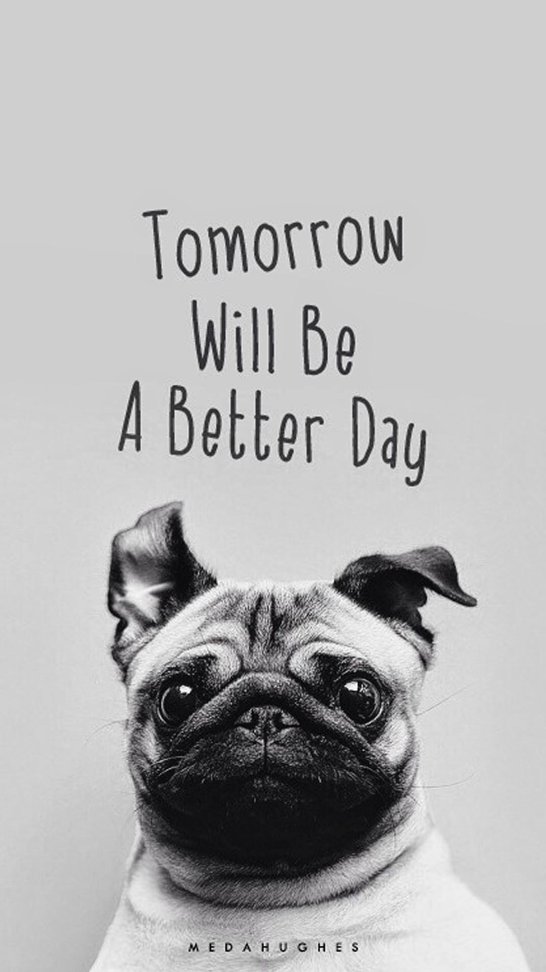 Tomorrow-Will-Be-A-Better-Day-Pug-Face-iPhone-6-Plus-HD-Wallpaper.j