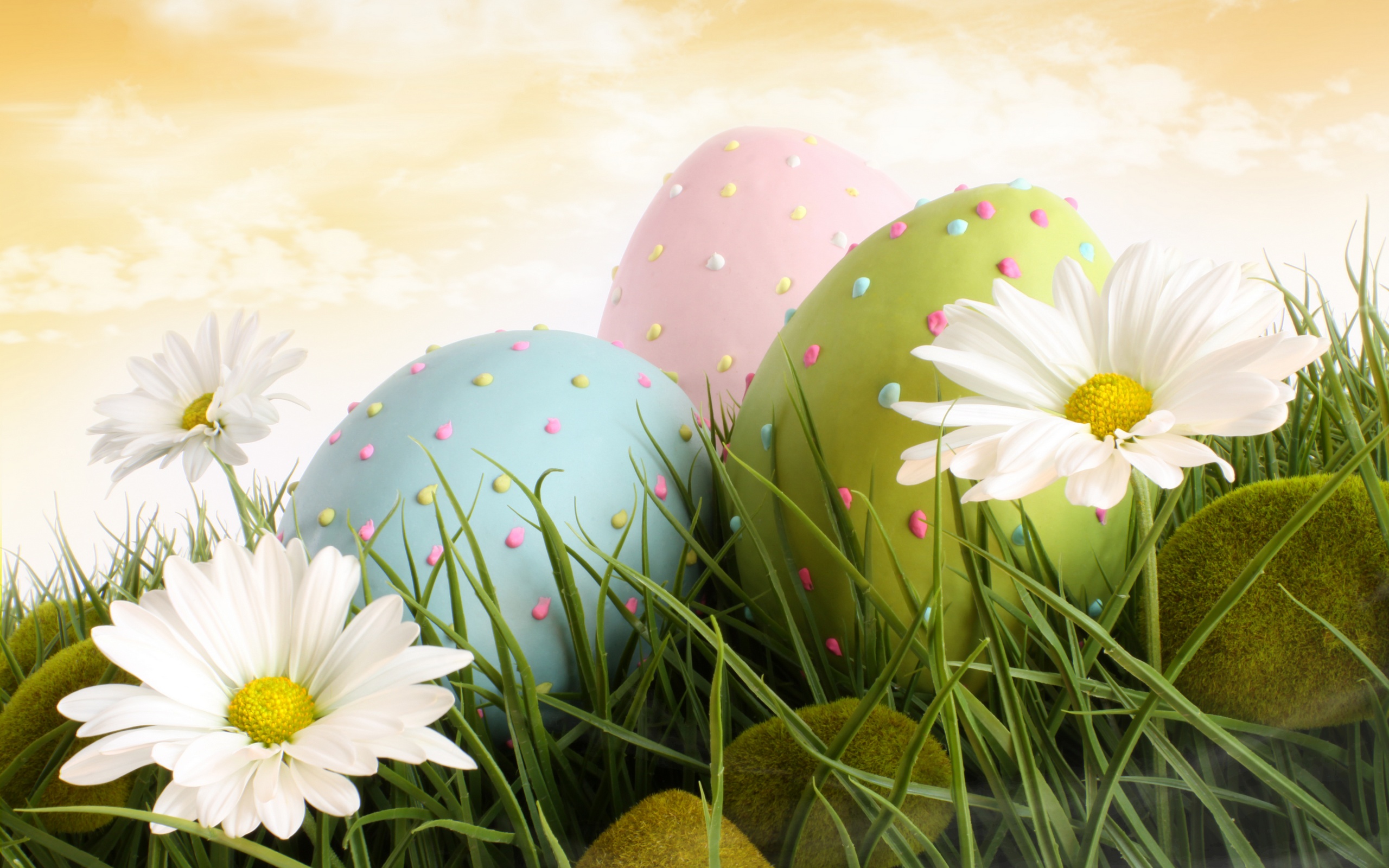 Closeup of decorated easter eggs in the grass with daisies