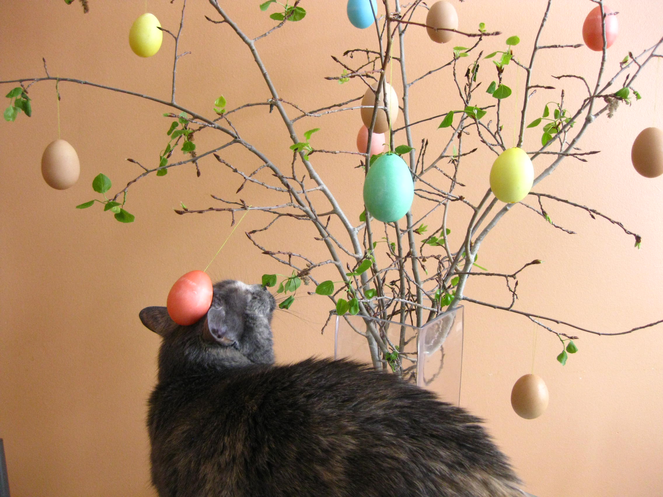easter decorations ...0