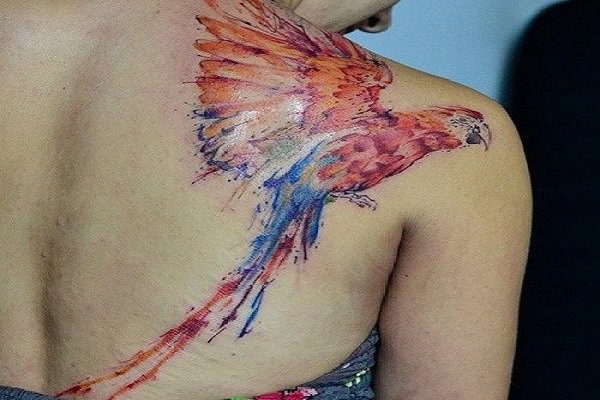 watercolor-macaw-tattoo