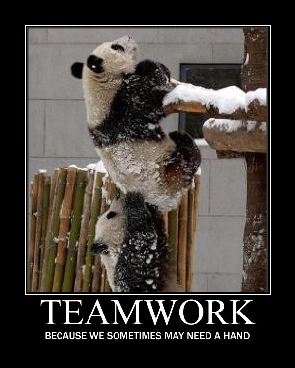teamwork-quotes-23.