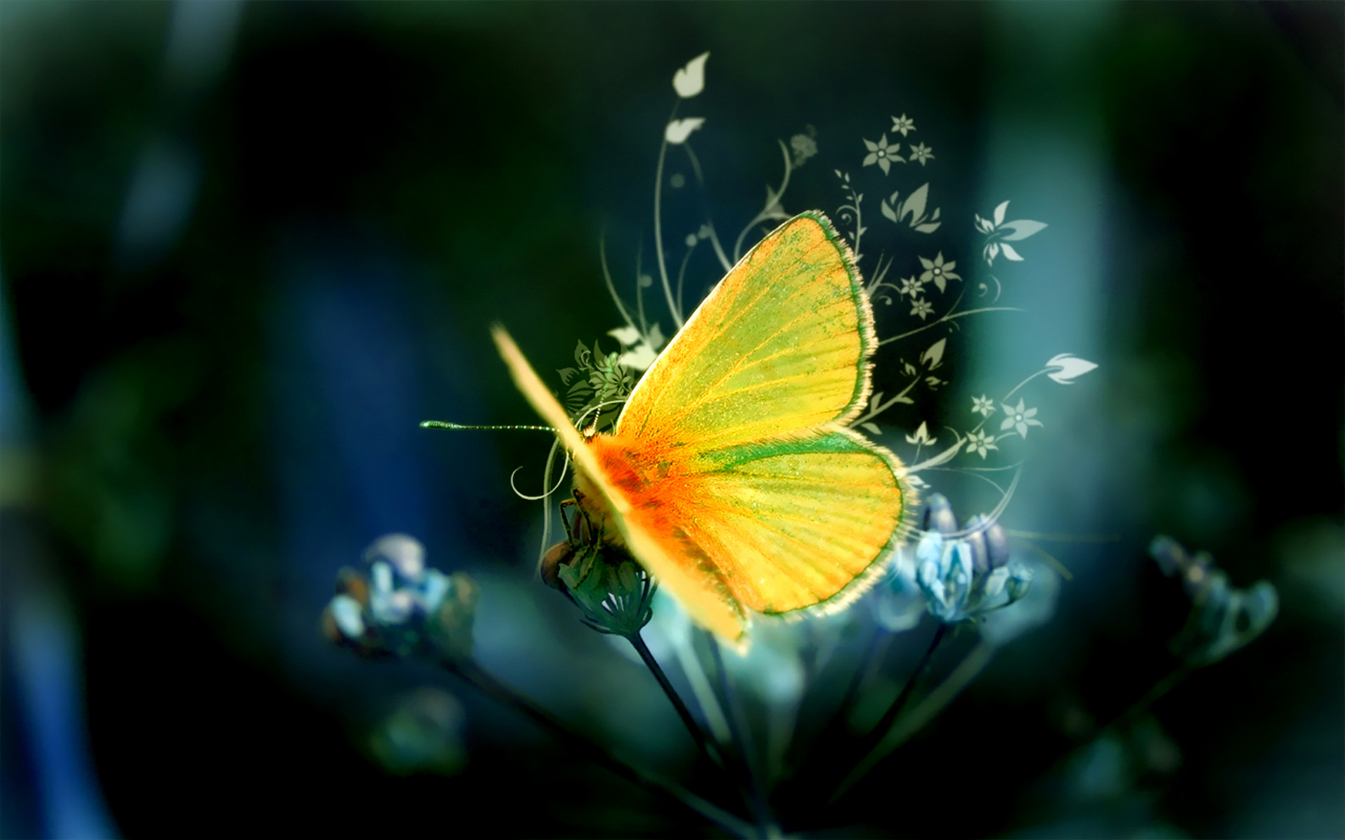 yellow-butterfly-art (1)