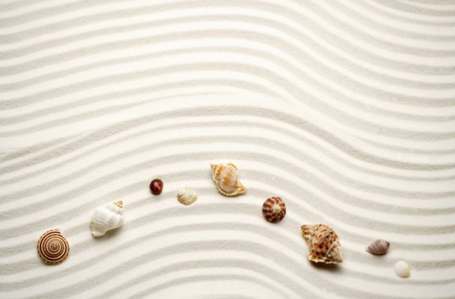 5-beach-sand-sea-shell-wallpaper.