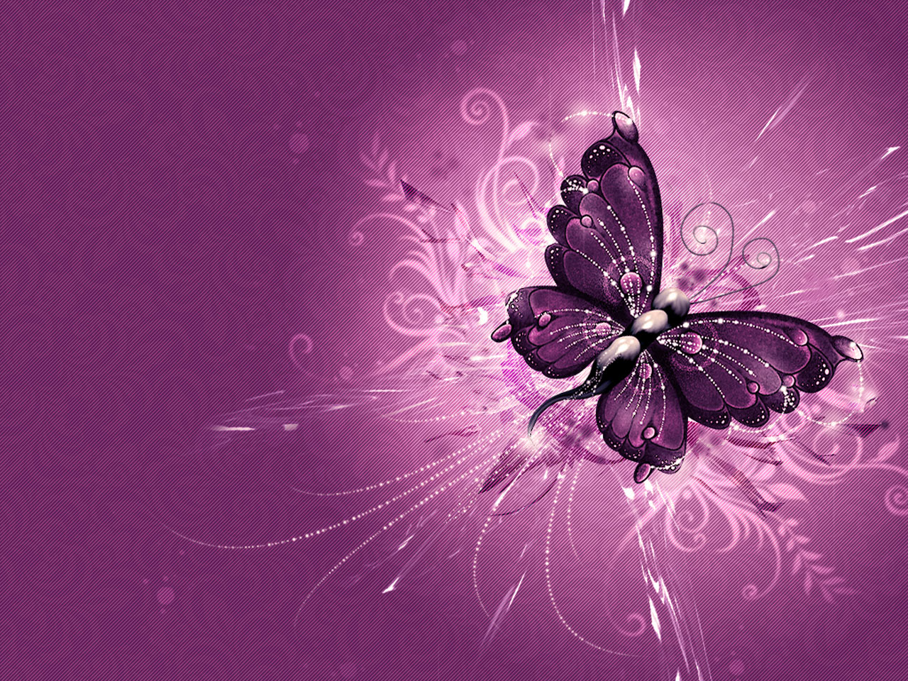 Purple-Butterfly-Wallpaper.