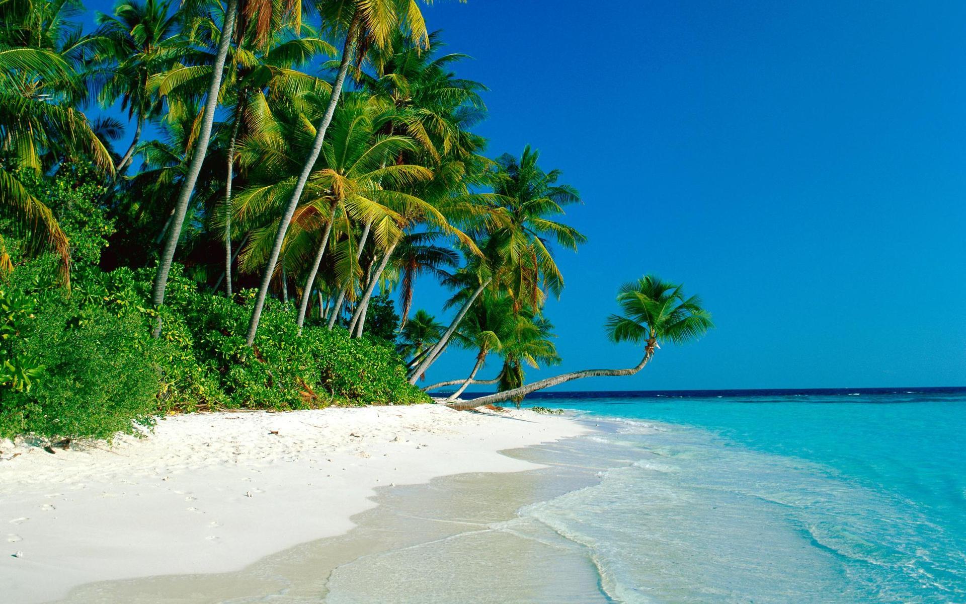tropical-beach-new-hd-wallpapers-of-high-resolution-free-cook-islands-images.
