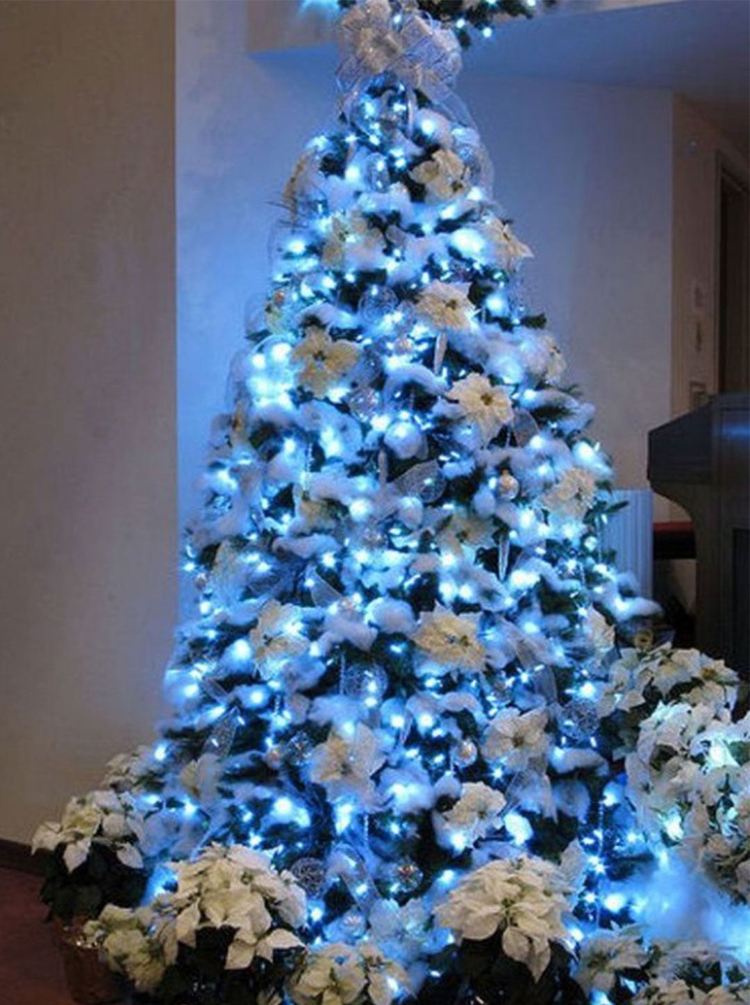 BEST-Christmas-Tree-2015