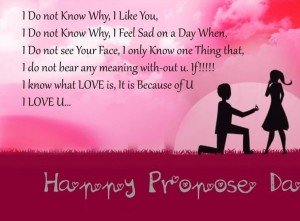 BEAUTIFUL PROPOSING QUOTES TO MAKE YOUR GIRLFRIEND FALL IN LOVE ...