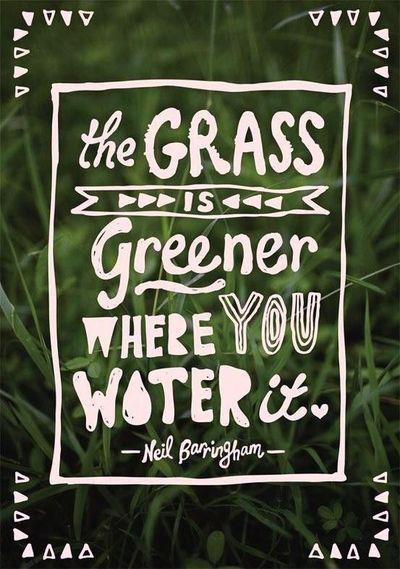 inspiring-quotes-for-students-neil-barringham-grass-is-greener.