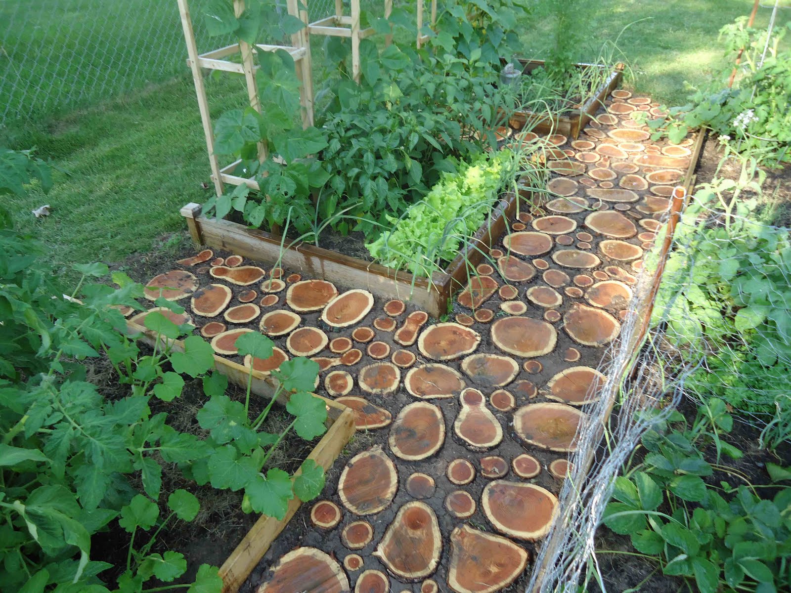 Garden-path-mosaic.
