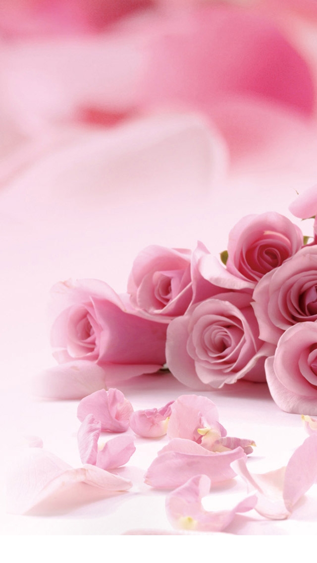 Pink-Roses-Valentines-Day-iPhone-5-Wallpaper