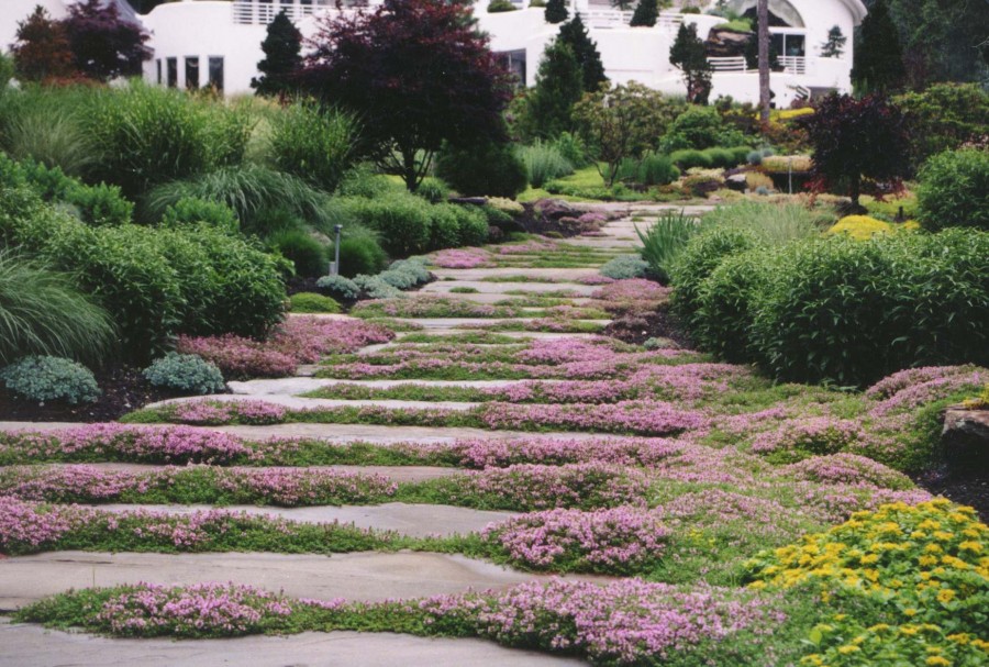 garden_pathway_landscaping