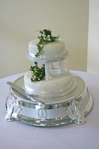 Cool-Small-Wedding-Cake.