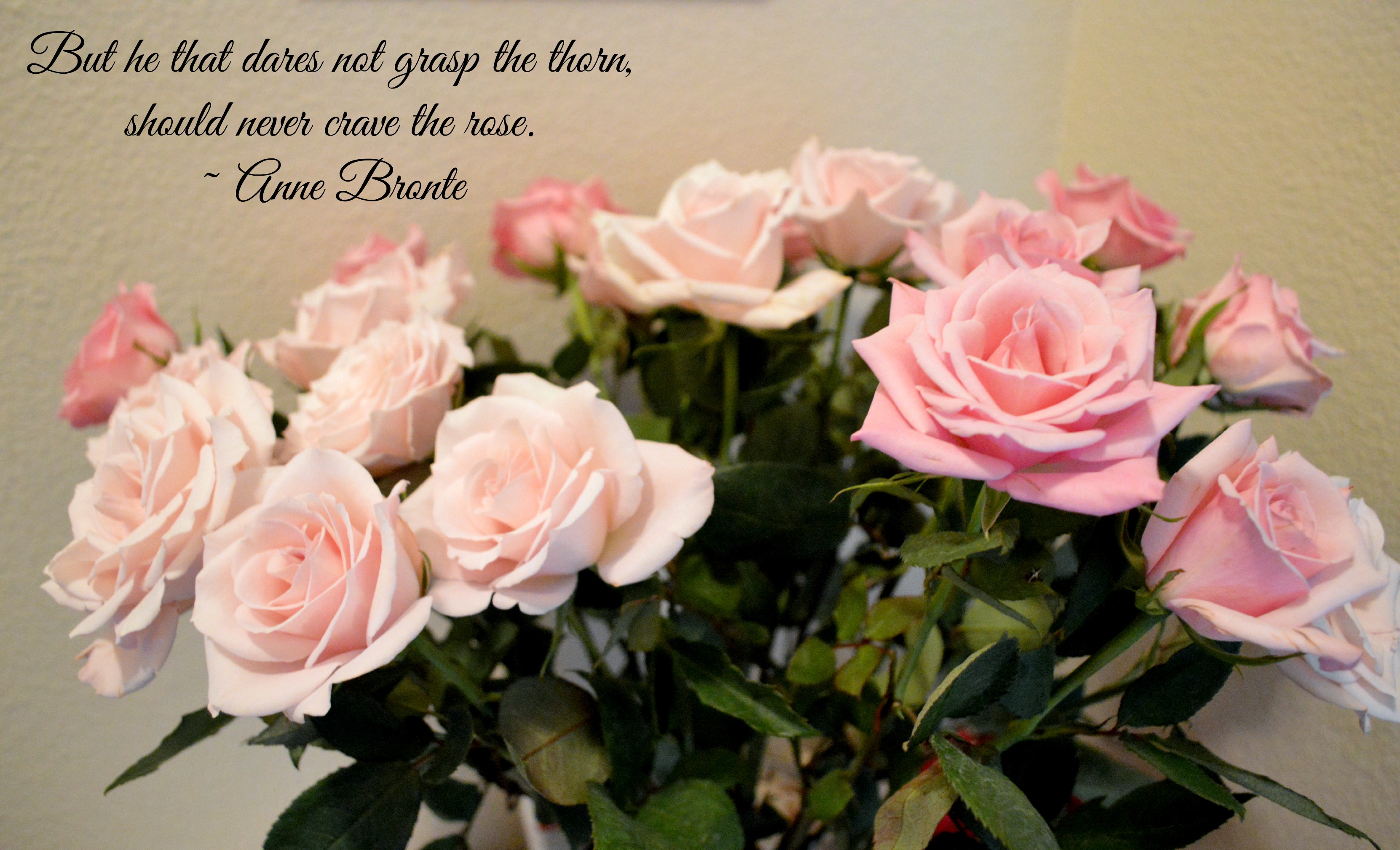 grasp-the-rose-quote.