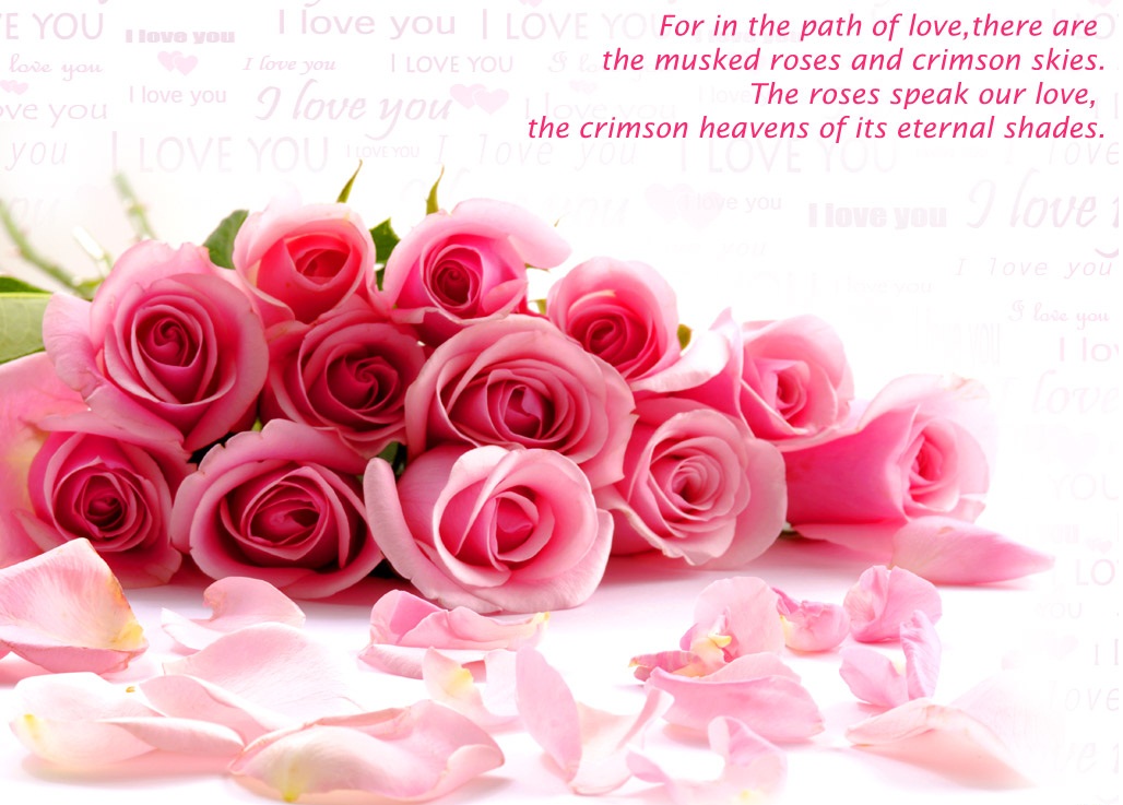 love-quotes-wallpaper-with-pink-roses.