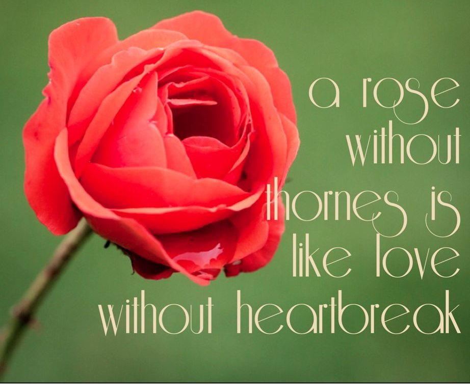 rose-love-quotes