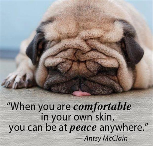 when-you-are-comfortable-in-your-own-skin-you-can-be-at-peace-anywhere-quote-1