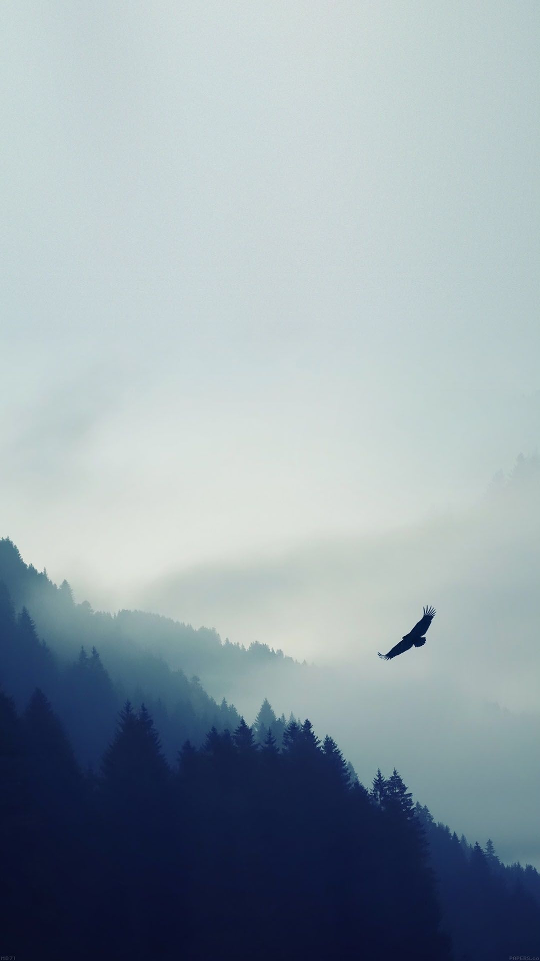 Bird-Flying-Over-Foggy-Forest-iPhone-6-Plus-HD-Wallpaper.