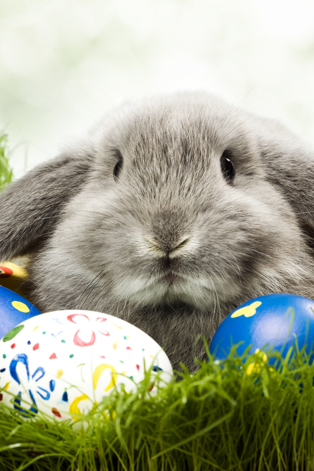 Easter-Eggs-Bunny-iPhone-4-iPhone-5-retina-wallpaper.