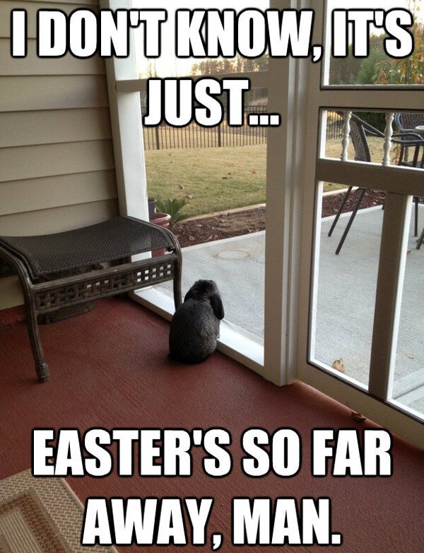 Easter-Sunday-Funny-Images.