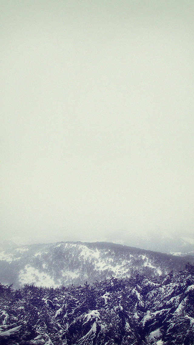 Foggy-Sky-Winter-Mountain-Forest-Landscape-iPhone-5-Wallpaper