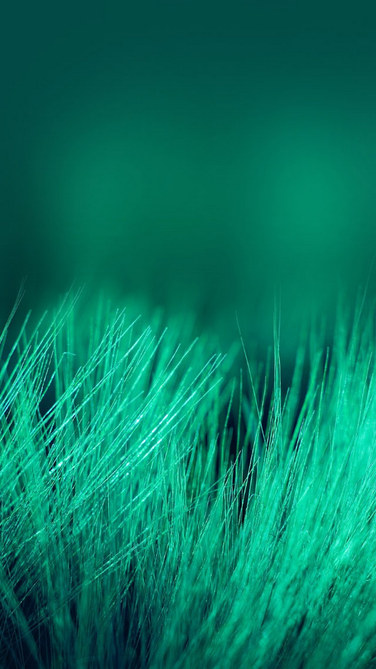 Green-Grass-Threads-Depth-Of-Field-iPhone-6-Wallpaper
