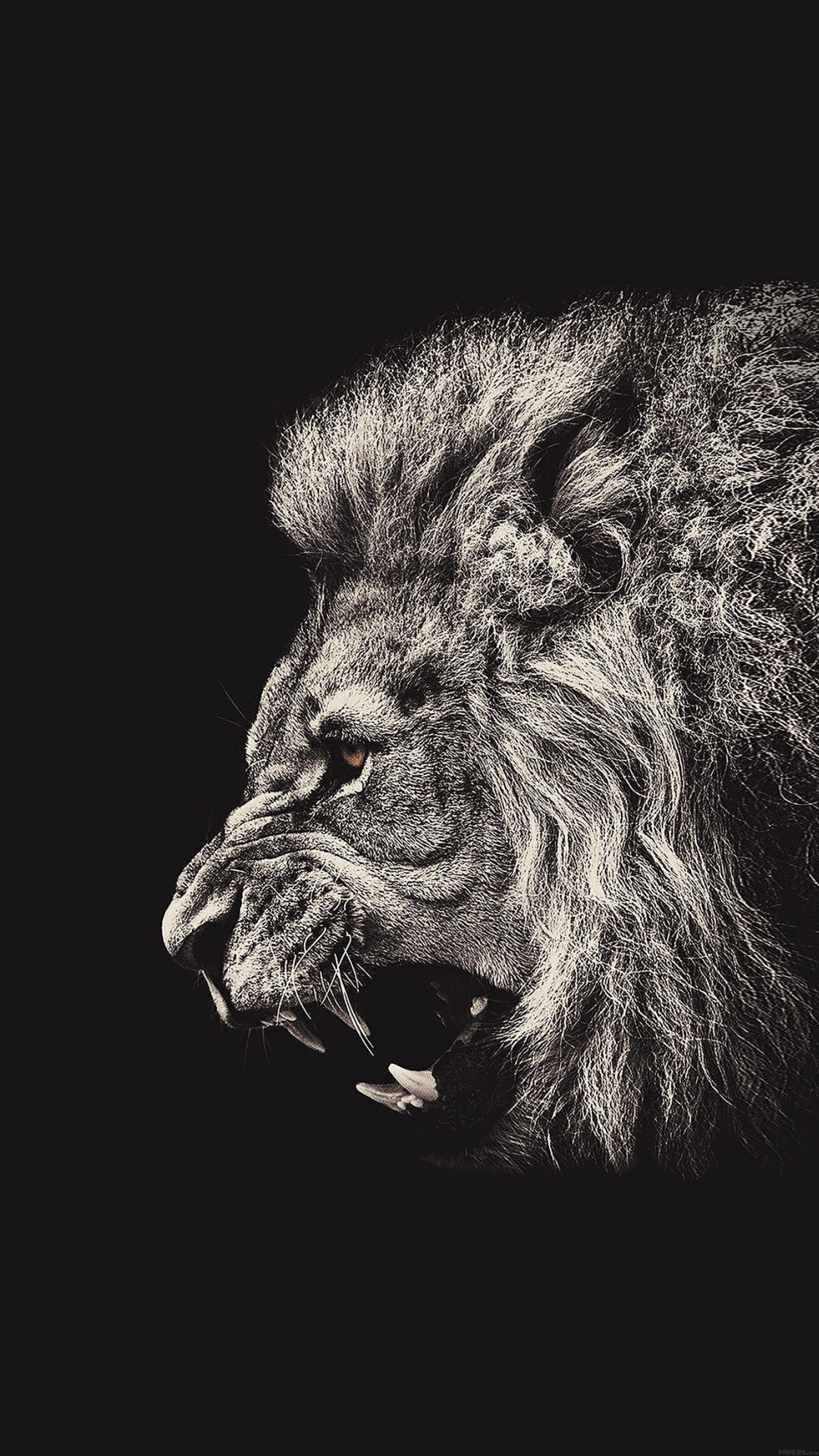 Male-Lion-Portrait-iPhone-6-Plus-HD-Wallpaper