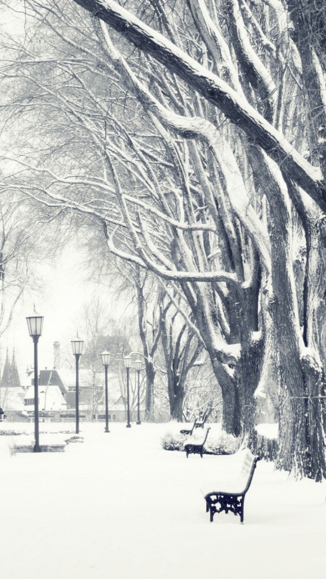 Snowy-Trees-Park-Alley-Bench-iPhone-5-Wallpaper.