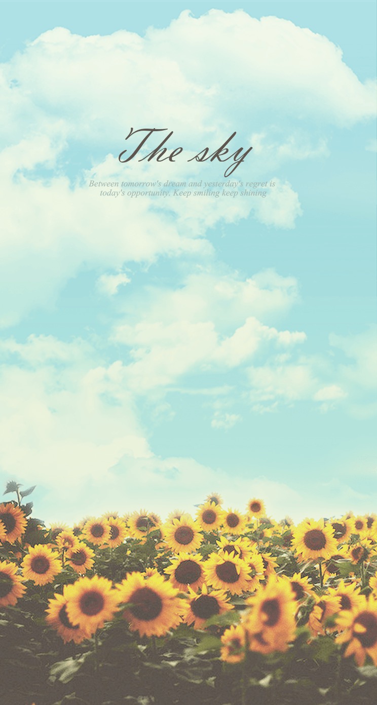 Sunflower-Sky-Keep-Shining-iPhone-6-Plus-HD-Wallpaper1