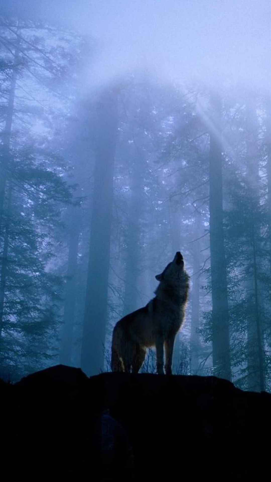 Twilight-Foggy-Forest-Wolf-Howl-iPhone-6-wallpaper