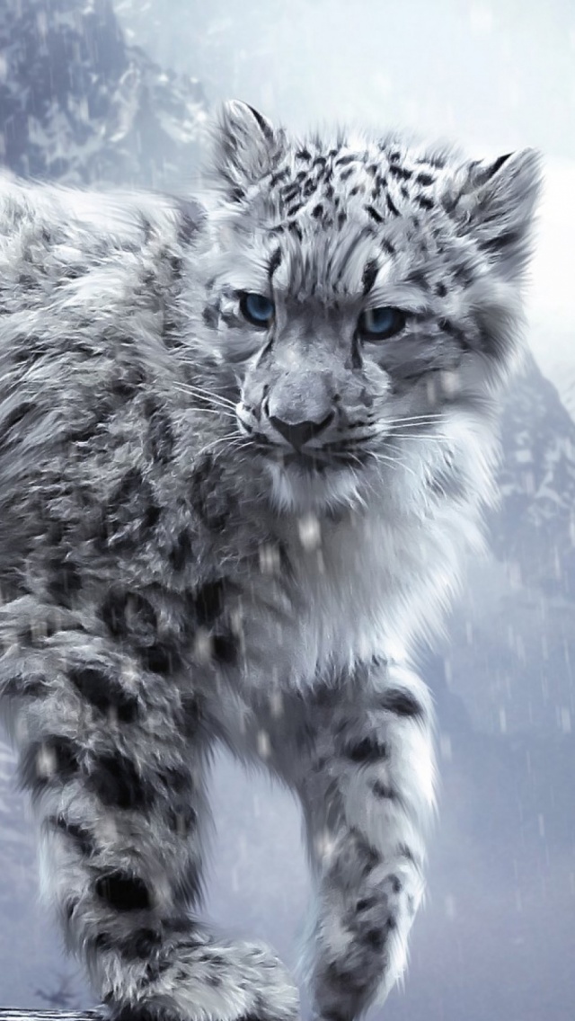 White-Snow-Leopard-Cub-iPhone-5-Wallpaper.