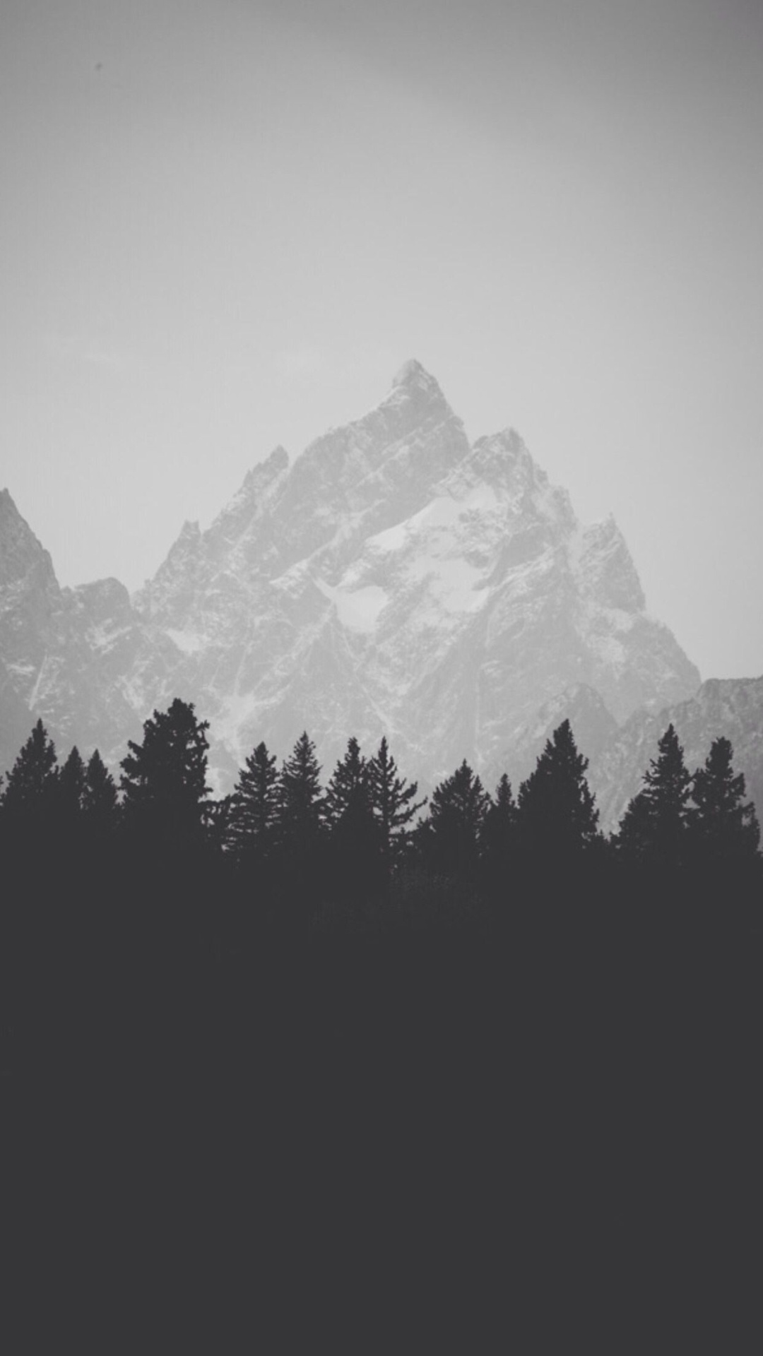 Winter-Mountain-Peak-Pine-Forest-Line-iPhone-6-Plus-HD-Wallpaper