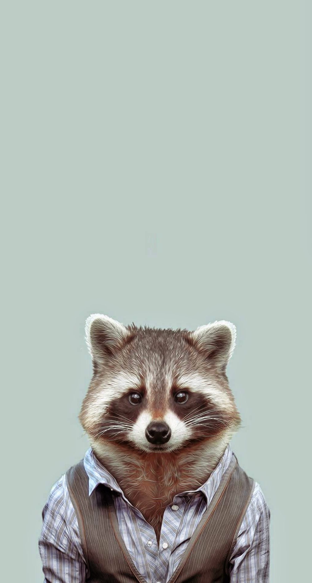 Yago-Portal-Zoo-Portraits-Common-Raccoon-iPhone-6-Plus-HD-Wallpaper