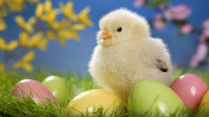 32 BEAUTIFUL EASTER  WALLPAPER FREE TO DOWNLOAD…..